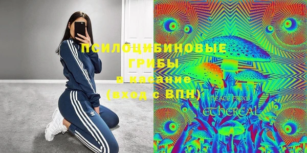 ешки Алексин