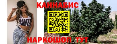 apvp Лесосибирск
