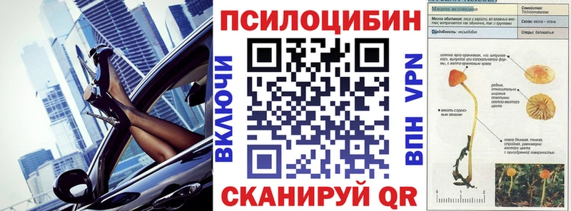 гидра зеркало  Иваново  Псилоцибиновые грибы Cubensis  купить наркотик 