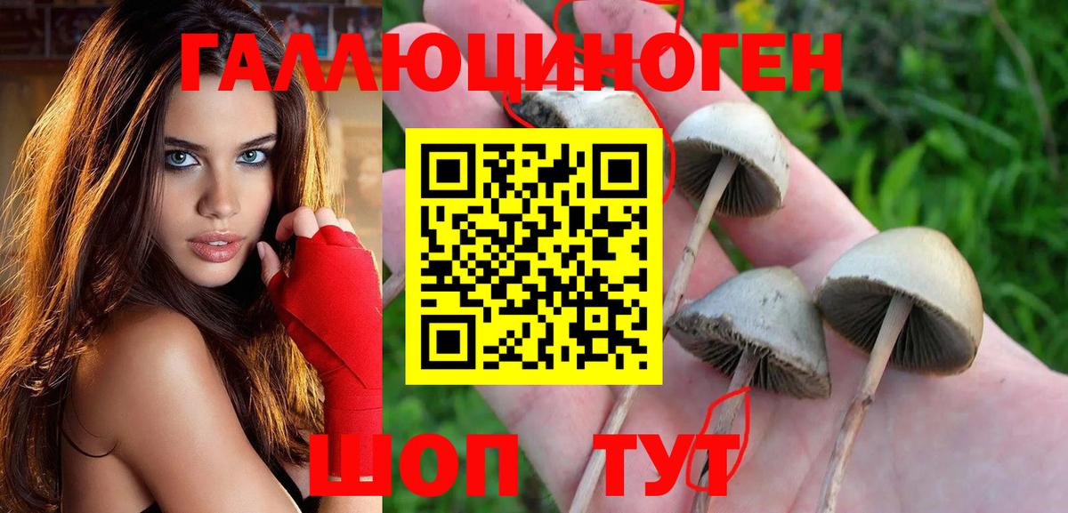Иваново  Псилоцибиновые грибы GOLDEN TEACHER  Вход с VPN 